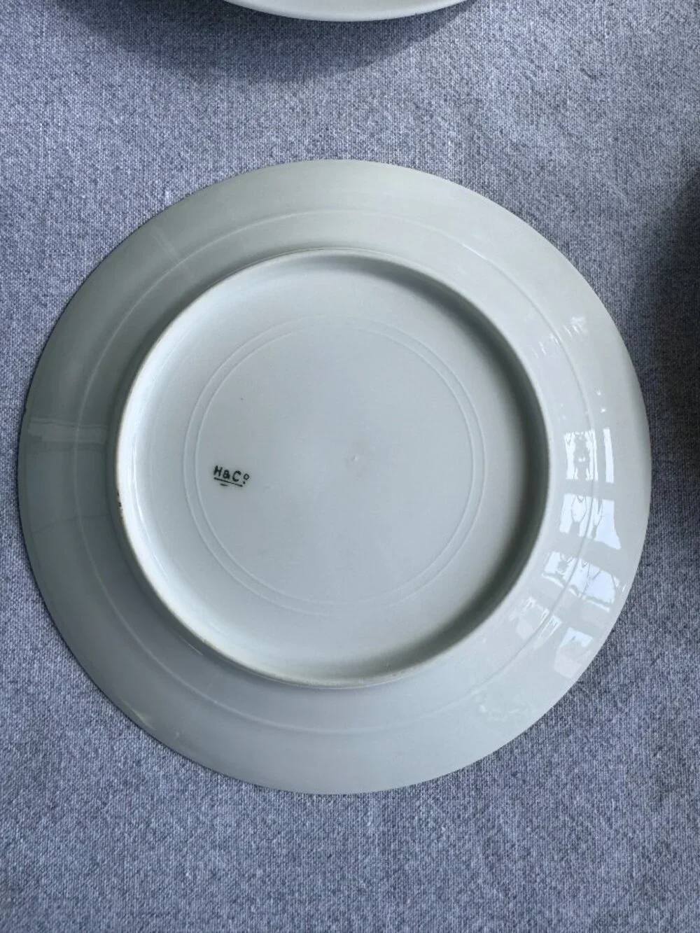 Haviland Limoges Floral Plates – Antique French Porcelain